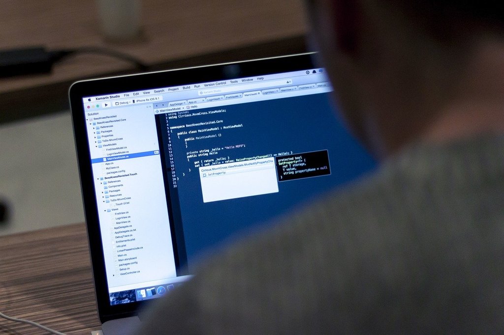 Quelle formation pour devenir développeur en informatique ?